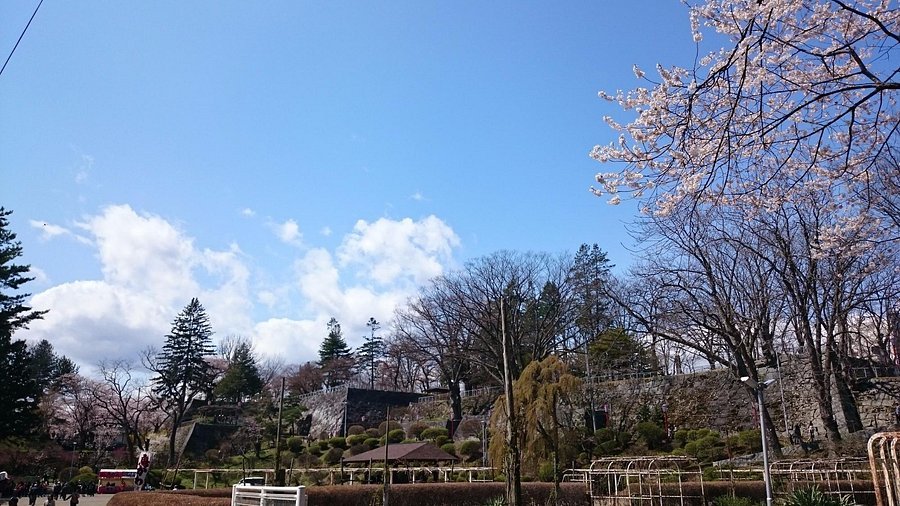 🏯 모리오카 성터(모리오카죠아토) 이미지 5